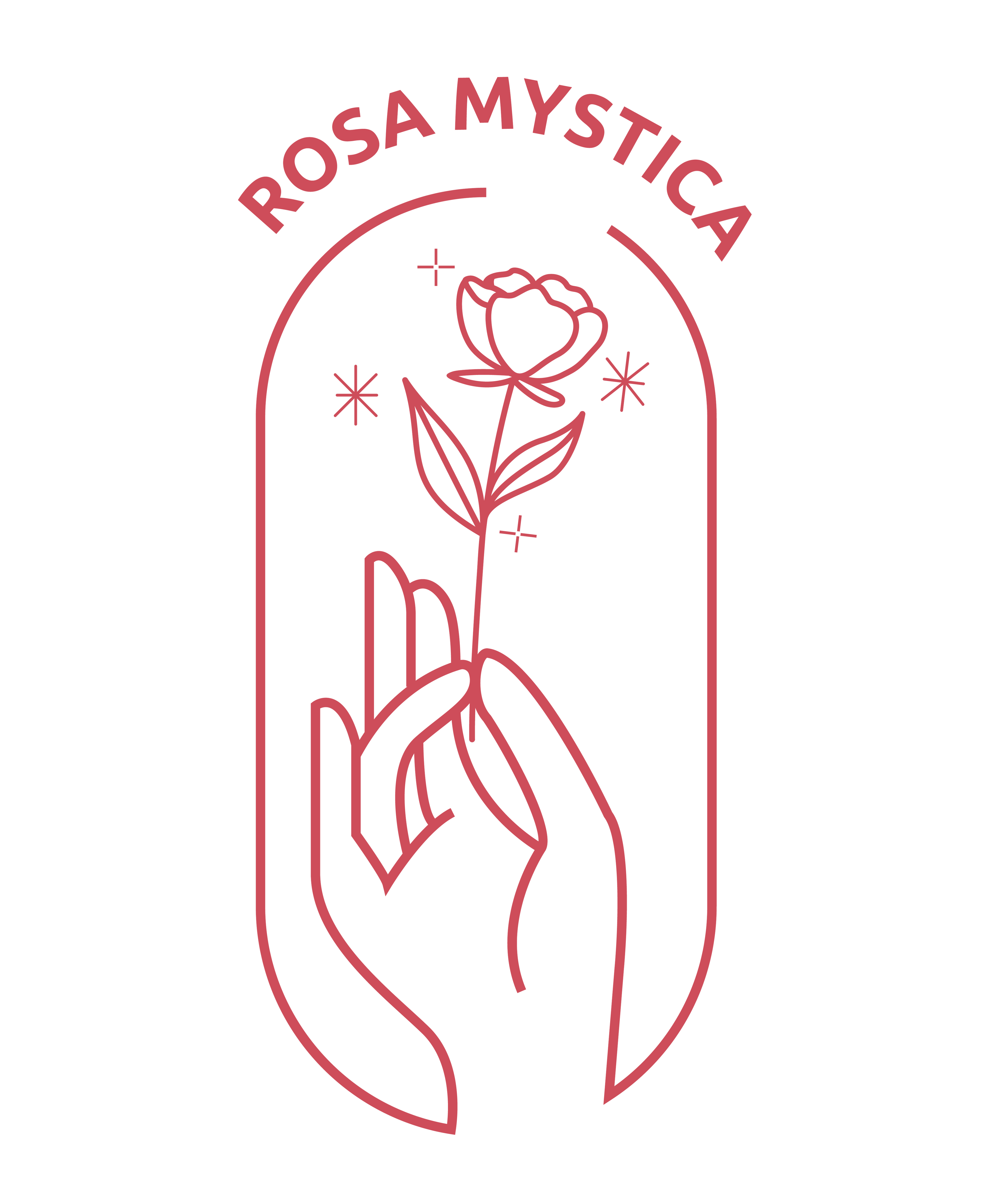 Rosa Mystica India